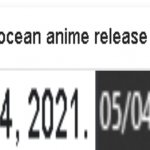 stone ocean release date