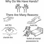 Why do we have hands? (all blank)