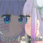 Kanna why are you like this?