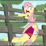 Fluttershy "Let Me In!" meme