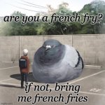 Big pigeon | are you a french fry? if not, bring me french fries | image tagged in beeg birb,pigeon,french fries,dada | made w/ Imgflip meme maker