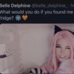 Belle Delphine meme