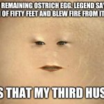 SNORTS WITH LAUGHTER | THE LAST REMAINING OSTRICH EGG. LEGEND SAYS IT HAD A WINGSPAN OF FIFTY FEET AND BLEW FIRE FROM ITS NOSTRILS. OR WAS THAT MY THIRD HUSBAND? | image tagged in cassandra doctor who | made w/ Imgflip meme maker