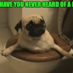 oops | WHAT, HAVE YOU NEVER HEARD OF A BIDET? | image tagged in oops | made w/ Imgflip meme maker