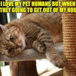 First World Cat Problems | I LOVE MY PET HUMANS BUT WHEN ARE THEY GOING TO GET OUT OF MY HOUSE... | image tagged in first world cat problems | made w/ Imgflip meme maker