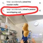 ALL HAIL THE ALMIGHTY PEANUT | image tagged in all hail the cat,memes,peanuts,funny,gifs | made w/ Imgflip meme maker