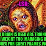 -Say it clear. | -LSD:; WHEN BRAIN IS NEED ARE TRAININGS WITH WEIGHT TOO, MANAGING HUGE STRUCTURES FOR GREAT FRAMES WORKING. | image tagged in one does not simply do drugs,lsd,weight loss,training day,my chemical romance,hardworking guy | made w/ Imgflip meme maker