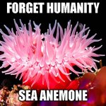 Forget Humanity, Sea Anemone (original meme: made by me) | FORGET HUMANITY; SEA ANEMONE | image tagged in forget humanity sea anenome,memes,return to monke | made w/ Imgflip meme maker