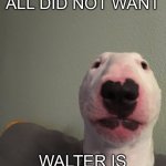Walter | THE MEME WE ALL DID NOT WANT; WALTER IS IN IMG FLIP | image tagged in walter | made w/ Imgflip meme maker