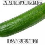 Cucumber | WHAT DID YOU EXPECT; IT'S A CUCUMBER | image tagged in cucumber,pointless | made w/ Imgflip meme maker
