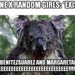 ErikaBenitezsuarez and Margaretaratih in Nutshell | WAYNE X RANDOM GIRLS: *EXISTS*; ERIKABENITEZSUAREZ AND MARGARETARATIH: REEEEEEEEEEEEEEEEEEEEEEEEEEEE!!!!!!! | image tagged in memes,angry koala,deviantart,erikabenitezsuarez,margaretaratih | made w/ Imgflip meme maker