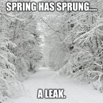 Springtime | SPRING HAS SPRUNG.... A LEAK. | image tagged in snowy forest | made w/ Imgflip meme maker