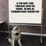 Professor Doggo | IF YOU CAN'T FIND YOUR DOG, OPEN THE FRIDGE.  HE WILL BE STANDING RIGHT BEHIND YOU | image tagged in professor doggo | made w/ Imgflip meme maker