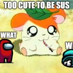 Too cute to be sus, hamtaro. | TOO CUTE TO BE SUS; YO WHAT; WHY. | image tagged in memes,hamtaro | made w/ Imgflip meme maker