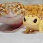 Gecko's Baby meme