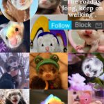 2nd ferret temp- meme