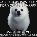 Gabe The Dog | GABE THE DOG WISHES FOR YOU TO BE HAPPY; UPVOTE THE MEMES ABOVE AND BELOW THIS ONE | image tagged in gabe the dog | made w/ Imgflip meme maker