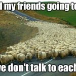sheep | me and my friends going to lunch; then we don't talk to each other | image tagged in sheep | made w/ Imgflip meme maker