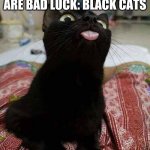 BLACK CAT TONGUE | PEOPLE: BLACK CATS ARE BAD LUCK: BLACK CATS | image tagged in black cat tongue | made w/ Imgflip meme maker
