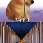 Horny dog bonkai