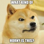 What kind of horny is this? | WHAT KIND OF; HORNY IS THIS? | image tagged in angry horny dog no bonk,horny,dog,horny dog | made w/ Imgflip meme maker