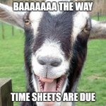 Funny Goat | BAAAAAAA THE WAY; TIME SHEETS ARE DUE | image tagged in funny goat | made w/ Imgflip meme maker