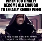 I have waited along time for this moment my little green friend | WHEN YOU FINALLY BECOME OLD ENOUGH TO LEGALLY SMOKE WEED | image tagged in i have waited along time for this moment my little green friend | made w/ Imgflip meme maker