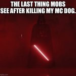 vader | THE LAST THING MOBS SEE AFTER KILLING MY MC DOG. | image tagged in vader | made w/ Imgflip meme maker