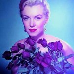 Marilyn Monroe roses
