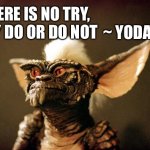 Mogyoda | THERE IS NO TRY, ONLY DO OR DO NOT; ~ YODA | image tagged in gremlins | made w/ Imgflip meme maker