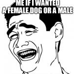 Yao Ming | PET SHOP OWNER ASKED ME IF I WANTED A FEMALE DOG OR A MALE "B**CH PLEASE!" | image tagged in memes,yao ming | made w/ Imgflip meme maker