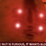 The nut is furious it wants blood meme