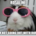 Funny animals | ROSALINE; I AM NOT GOING OUT WITH ROMEO | image tagged in funny animals | made w/ Imgflip meme maker