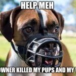 I wanna die | HELP MEH; MY OWNER KILLED MY PUPS AND MY WIFE | image tagged in i wanna die | made w/ Imgflip meme maker
