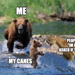 Canes | ME; PEOPLE WHO SAID "IM GOOD" WHEN ASKED IF THEY WANTED ANY; MY CANES | image tagged in bear | made w/ Imgflip meme maker