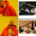 The feeling of ecstasy | image tagged in yes no drake,cat,chess | made w/ Imgflip meme maker
