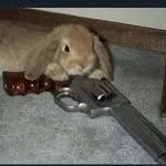 bunny gun meme
