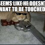 bunny gun | SEEMS LIKE HE DOESN'T WANT TO BE TOUCHED | image tagged in bunny gun | made w/ Imgflip meme maker