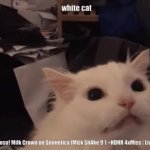White cat meowing meme GIF Template