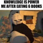 kung fu mishaps | KNOWLEDGE IS POWER
ME AFTER EATING 6 BOOKS | image tagged in kung fu mishaps | made w/ Imgflip meme maker