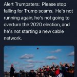 Ann Coulter Trump scams