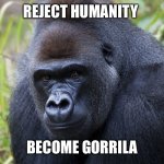 gorrilaa | REJECT HUMANITY; BECOME GORRILA | image tagged in gorrilaa | made w/ Imgflip meme maker