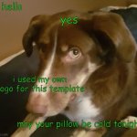 her name is Jersey | hello; yes; i used my own dogo for this template; may your pillow be cold tonight | image tagged in dogo | made w/ Imgflip meme maker