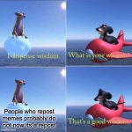 Dog wisdom | People who repost memes probably do not now its a repost | image tagged in dog wisdom | made w/ Imgflip meme maker