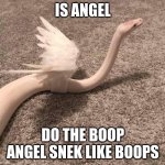 Angelisssk | IS ANGEL; DO THE BOOP ANGEL SNEK LIKE BOOPS | image tagged in angelisssk | made w/ Imgflip meme maker