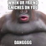 snich | WHEN UR FRIEND SNICHES ON YOU; DANGGGG | image tagged in le monke,monke,funny | made w/ Imgflip meme maker
