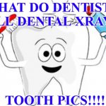 tooth | WHAT DO DENTISTS CALL DENTAL XRAYS? TOOTH PICS!!!! | image tagged in tooth | made w/ Imgflip meme maker