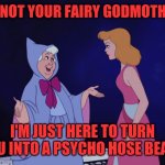 Cinderella Fairy Godmother | I'M NOT YOUR FAIRY GODMOTHER, I'M JUST HERE TO TURN YOU INTO A PSYCHO HOSE BEAST | image tagged in cinderella fairy godmother | made w/ Imgflip meme maker