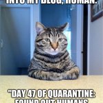 Take A Seat Cat Meme | WRITE THIS INTO MY BLOG, HUMAN: "DAY 47 OF QUARANTINE: FOUND OUT HUMANS DON'T LAND ON THEIR FEET." | image tagged in memes,take a seat cat | made w/ Imgflip meme maker