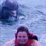 Kid fears dolphins